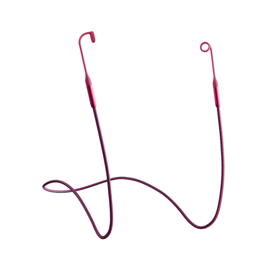 Tomorrowland x Loop Link