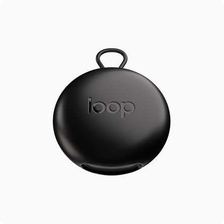 Loop Switch 2 Carry Case